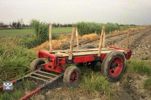 1950至2006年臺灣常民生活藏品圖，第1張