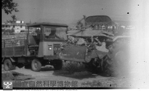 1950至2006年臺灣常民生活藏品圖，第1張