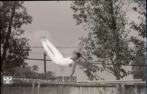 1950至2006年臺灣常民生活藏品圖，第1張