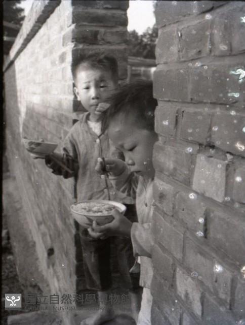 1950至2006年台灣常民生活藏品圖，第1張