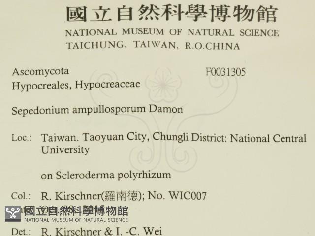 登錄號:F0031305藏品圖，第2張