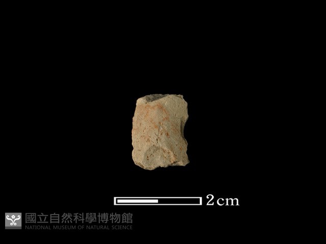矛鏃形器藏品圖，第2張