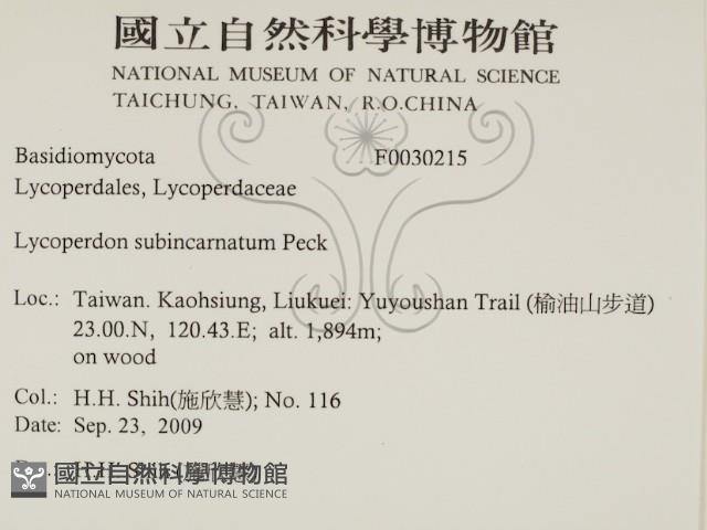 登錄號:F0030215藏品圖，第2張