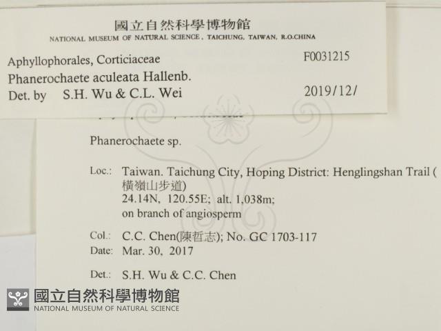 登錄號:F0031215藏品圖，第2張