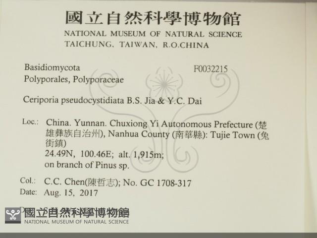 登錄號:F0032215藏品圖，第2張