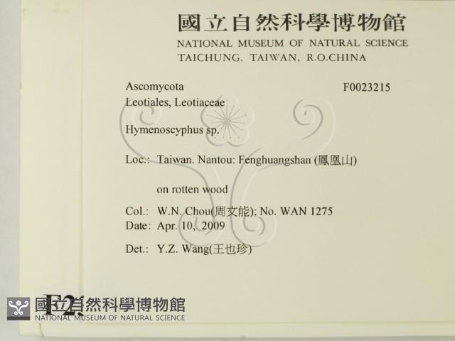 登錄號:F0023215藏品圖，第2張