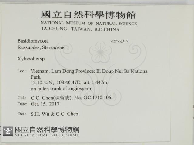 登錄號:F0033215藏品圖，第2張