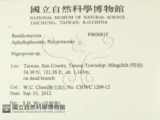 登錄號:F0026815藏品圖，第2張