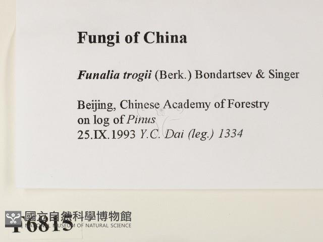 登錄號:F0006815藏品圖，第2張