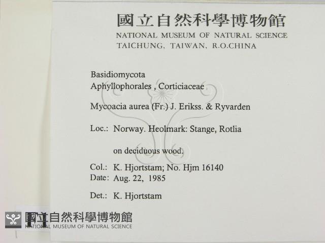 登錄號:F0016815藏品圖，第2張
