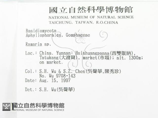 登錄號:F0007815藏品圖，第2張