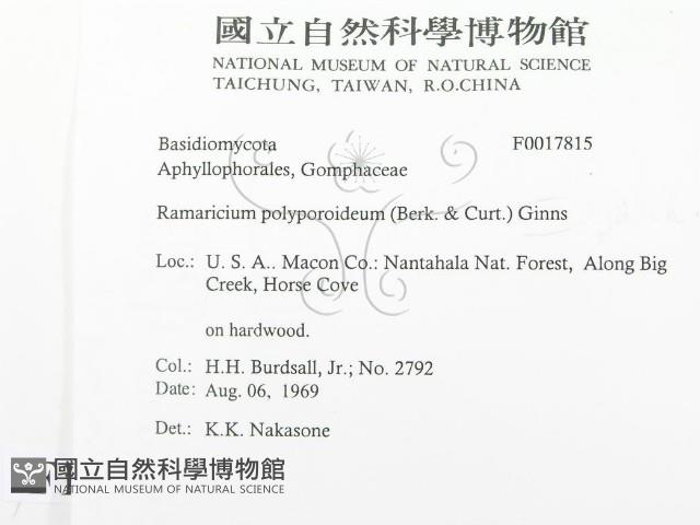 登錄號:F0017815藏品圖，第2張