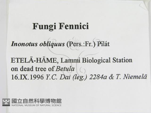 登錄號:F0005815藏品圖，第2張