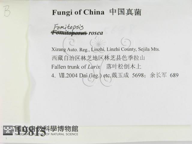 登錄號:F0019815藏品圖，第2張