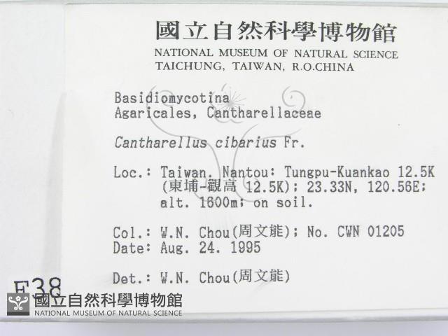 登錄號:F0003815藏品圖，第2張