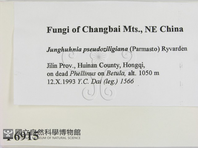 登錄號:F0006915藏品圖，第2張
