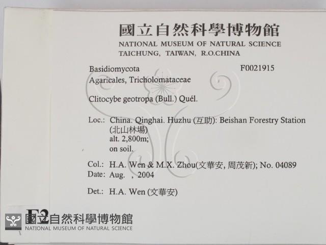 登錄號:F0021915藏品圖，第2張
