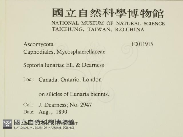 登錄號:F0011915藏品圖，第2張