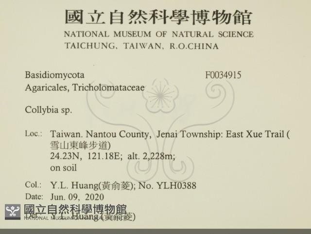 登錄號:F0034915藏品圖，第2張