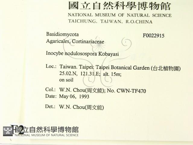 登錄號:F0022915藏品圖，第2張
