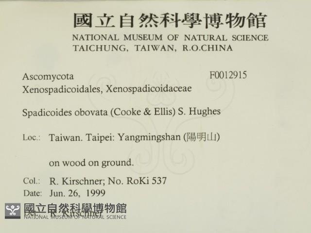 登錄號:F0012915藏品圖，第2張