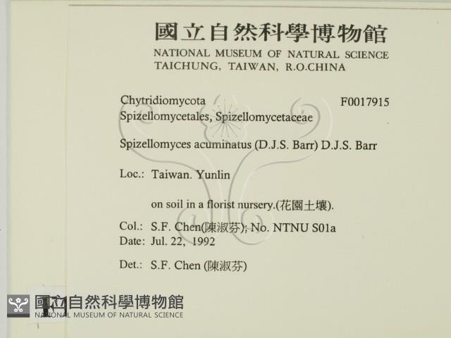 登錄號:F0017915藏品圖，第2張