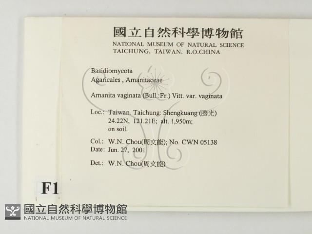 登錄號:F0015915藏品圖，第2張
