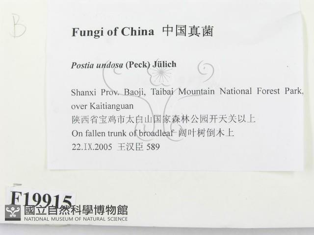 登錄號:F0019915藏品圖，第2張