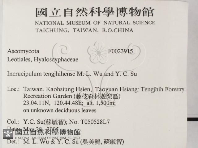 登錄號:F0023915藏品圖，第2張