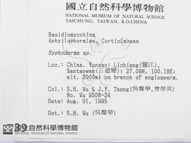 絲皮菌屬藏品圖，第2張