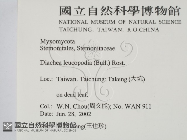 登錄號:F0013915藏品圖，第2張