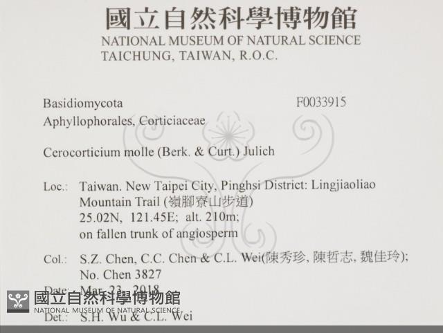 登錄號:F0033915藏品圖，第2張