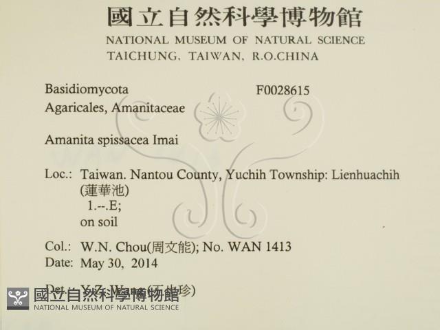 登錄號:F0028615藏品圖，第2張