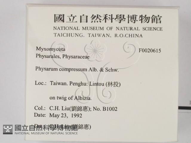 登錄號:F0020615藏品圖，第2張