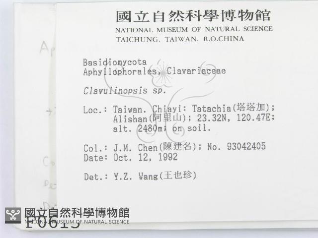 登錄號:F0000615藏品圖，第2張