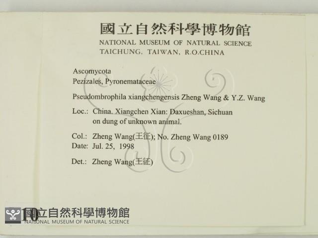 登錄號:F0010615藏品圖，第2張