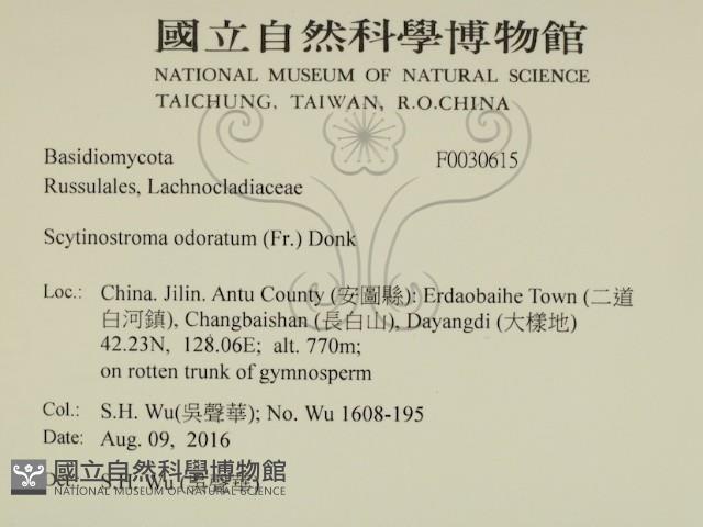 登錄號:F0030615藏品圖，第2張