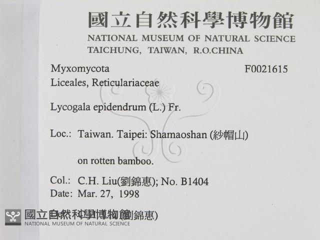 登錄號:F0021615藏品圖，第2張