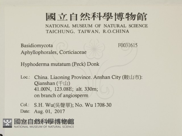 登錄號:F0031615藏品圖，第2張