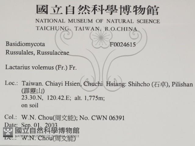 登錄號:F0024615藏品圖，第2張