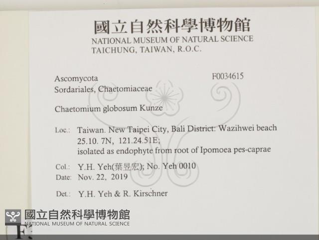 登錄號:F0034615藏品圖，第2張