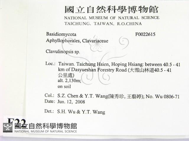 登錄號:F0022615藏品圖，第2張