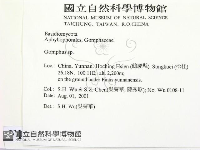 登錄號:F0013615藏品圖，第2張