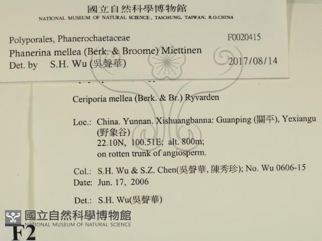 登錄號:F0020415藏品圖，第2張