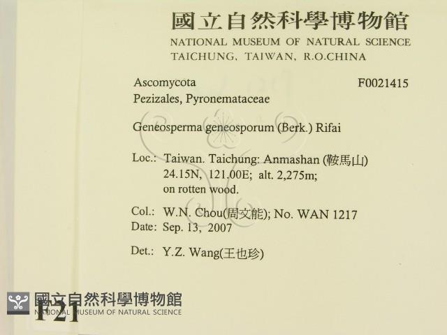登錄號:F0021415藏品圖，第2張