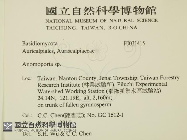 登錄號:F0031415藏品圖，第2張