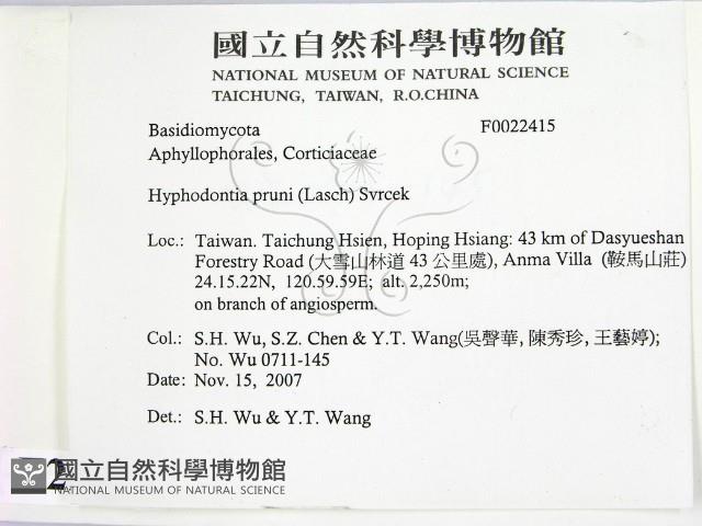 登錄號:F0022415藏品圖，第2張