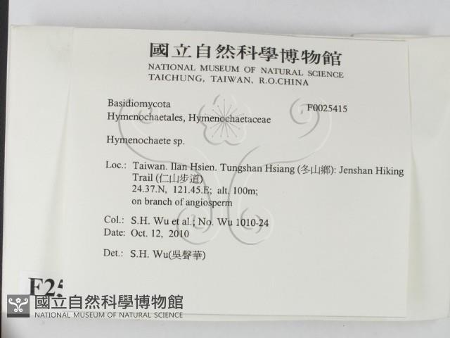 刺革菌屬藏品圖，第2張