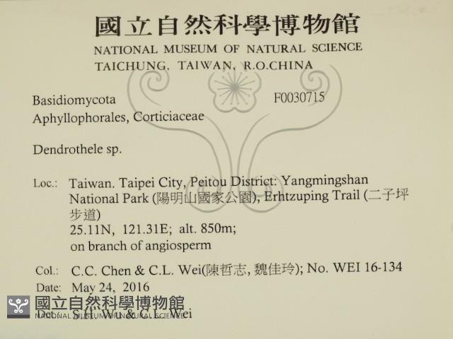 登錄號:F0030715藏品圖，第2張