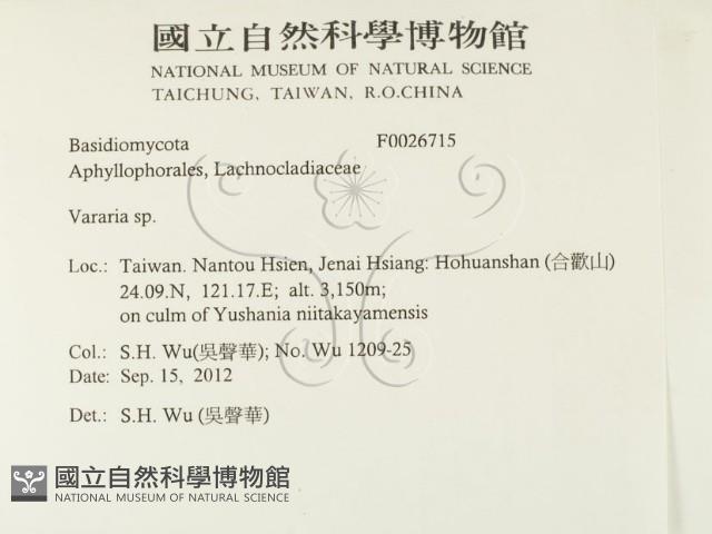 登錄號:F0026715藏品圖，第2張